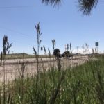 UNADJUSTEDNONRAW_thumb_1a1b