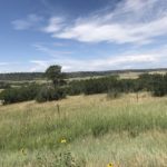 UNADJUSTEDNONRAW_thumb_1a25